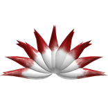 [PBR TEXTURE] Kitsune Fox Tail