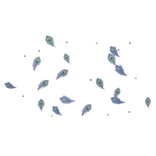 Peacock Feather Aura