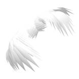Phoenix Wings White