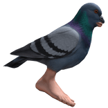 Pigeon Catina Backpack