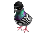 Pigeon Thief - Left Shoulder