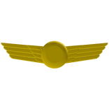 Pilot Wings Pin