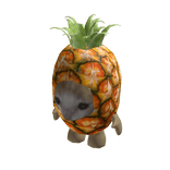 Pineapple Cat Suit
