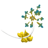 Pine's Tail