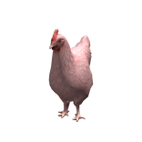 Pink Chicken Suit