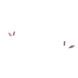 Pink Coquette Bow Nails