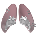 Pink Ears Earrings