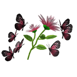 Pink flower with butterfly