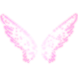 Pink Glitter Glow Wings