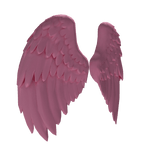 Pink heavenly wings 