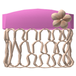  ♡ pink n brown summer hibiscus hawaiian top