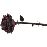 Pink Thorn Rose