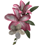 Pink Tropical Summer Face Flower