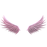 Pink Wings of Passion