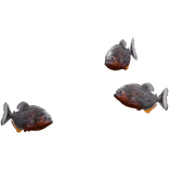 Piranhas