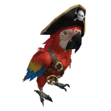 Pirate Parrot