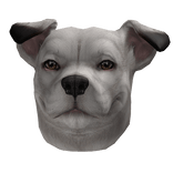 🪽 Pitbull Dog Mask Black & White