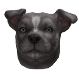 🪽 Pitbull Dog Mask Grey Blue