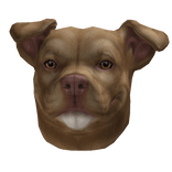 🪽 Pitbull Dog Mask Red