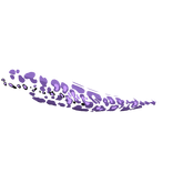 Pitch Black Moray Tail Pattern