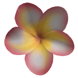 ✨ Plumeria Pink and Yellow Flower Headpiece Lilo