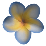 ✨ Plumeria Yellow and Blue Flower Headpiece Lilo