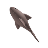 Plush shark