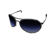 Police Aviators