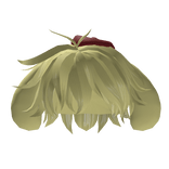 Pompompurin  Boy Hair 