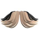 Popstar Curtain Bangs in Black Blonde