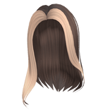 Popular Girl Blonde & Brown Hair