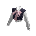 Preppy Cropped Sweater Pink and Blue BB 