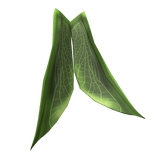 Prince Mantis Wings Cape