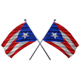 🇵🇷 Puerto Rico Shoulder Double Flag