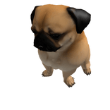 pug shoulder pet