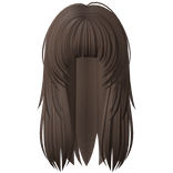 Punk Messy Girl Hair in Brown