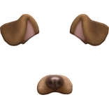 Puppy Dog Face Filter