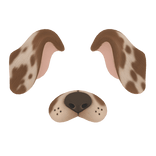 puppy filter