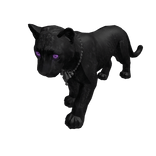 Purple eye Panther