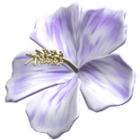 Purple Hibiscus Summer Hair Flower
