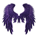 Purple Radiance Wings [ CODE: PRW777 ]