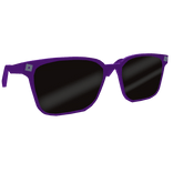 Purple Roblox Sunglasses