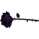 Purple Thorn Rose