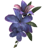 Purple Tropical Summer Face Flower