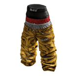 R4V 3 BAJO 10