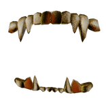 [R6] grillz clawz left hand  - gold
