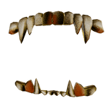 [R6] grillz clawz right hand  - gold