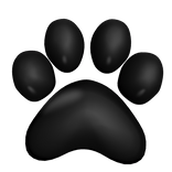 [R6] Left Black Paw