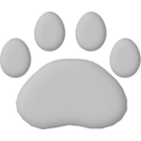 [R6] Left White Paw