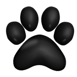[R6] Right Black Paw